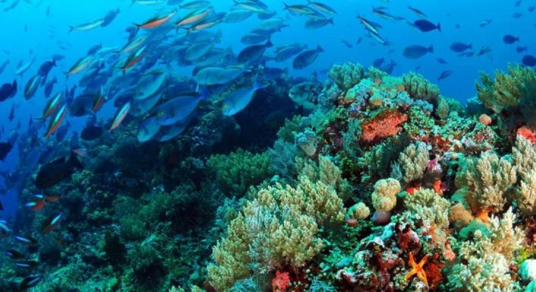 AED busca consultoría en incorporación de la biodiversidad en la gestión empresarial