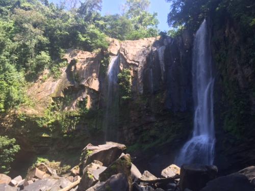 Cuando el negocio es también conservar la biodiversidad
