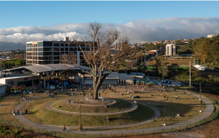 Vista aérea de un parque circular con un gran árbol en el centro, rodeado por un camino pavimentado en forma de anillo. A su alrededor, varias personas disfrutan del espacio al aire libre, descansando sobre el césped y paseando. Al fondo, se observa un edificio moderno y montañas con algunas nubes bajas, que completan el paisaje urbano y natural del área.