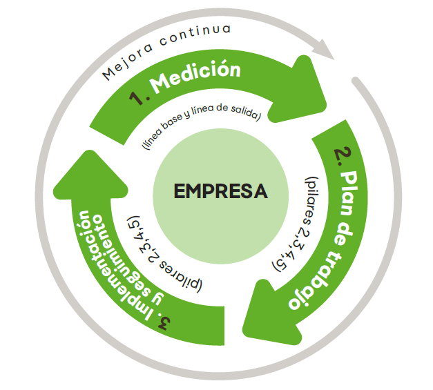 Circulo gestion