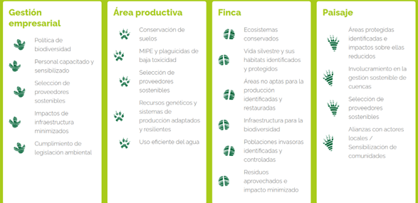 Cuadro Biodiversidad