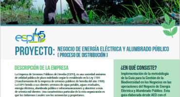 Negocio de Energía Eléctrica y Alumbrado Público ( proceso de distribución )