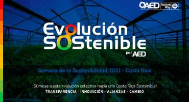 Brief - Evolución Sostenible 2021