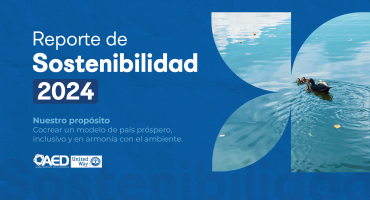 Portada Reporte 2024