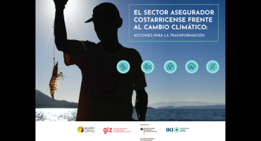 Portada Sector asegurador frente al cambio climático