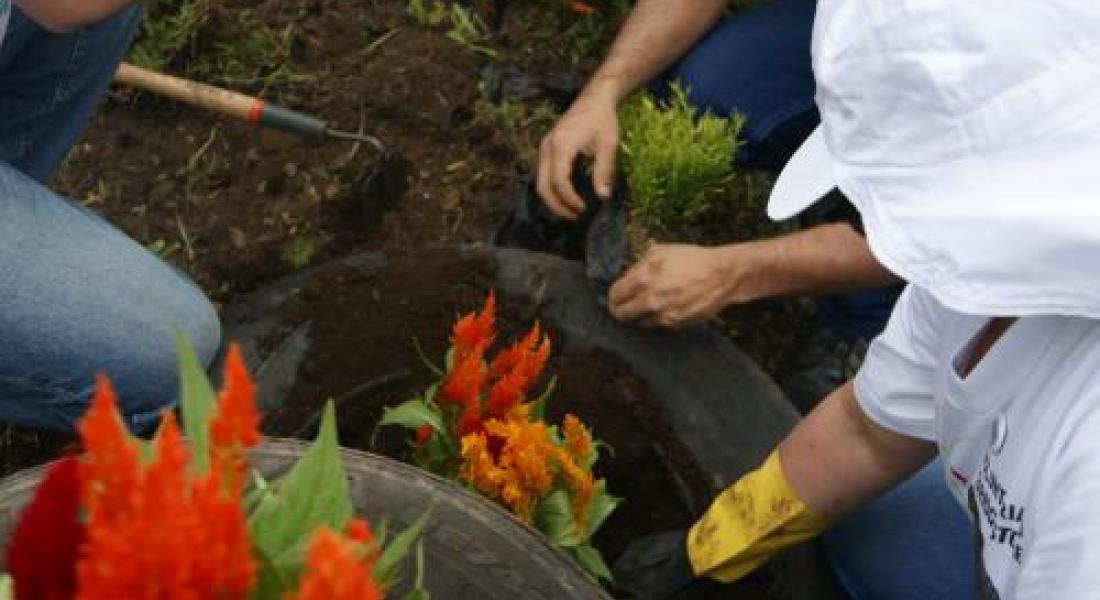 La fuerza voluntaria del siglo XXI