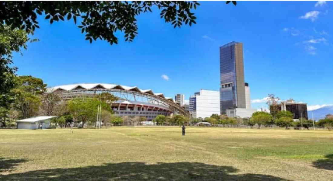 Vista desde el Parque Metropolinano La Sabana al Estadio Nacional. Es un campo verde de zacate, con un cielo azul despejado, la foto esta enmarcada por la rama de un árbol y a lo lejos se ve el Estadio Nacional y algunos edificios  
