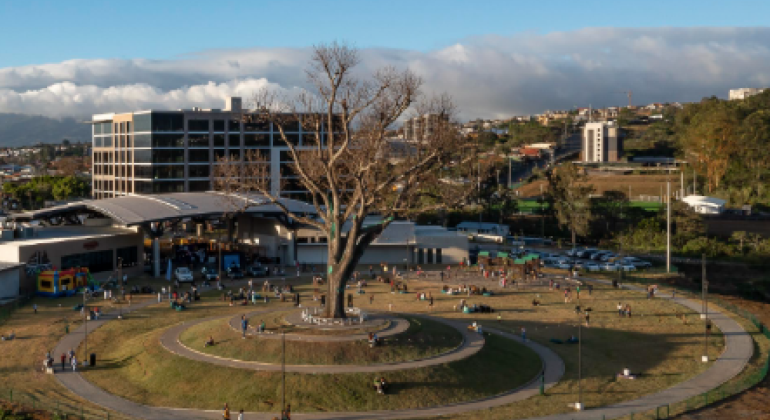 Vista aérea de un parque circular con un gran árbol en el centro, rodeado por un camino pavimentado en forma de anillo. A su alrededor, varias personas disfrutan del espacio al aire libre, descansando sobre el césped y paseando. Al fondo, se observa un edificio moderno y montañas con algunas nubes bajas, que completan el paisaje urbano y natural del área.