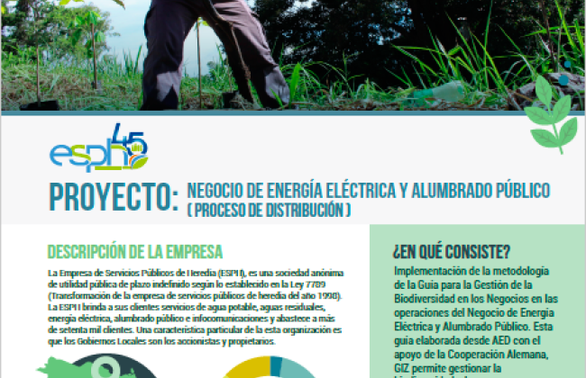 Negocio de Energía Eléctrica y Alumbrado Público ( proceso de distribución )