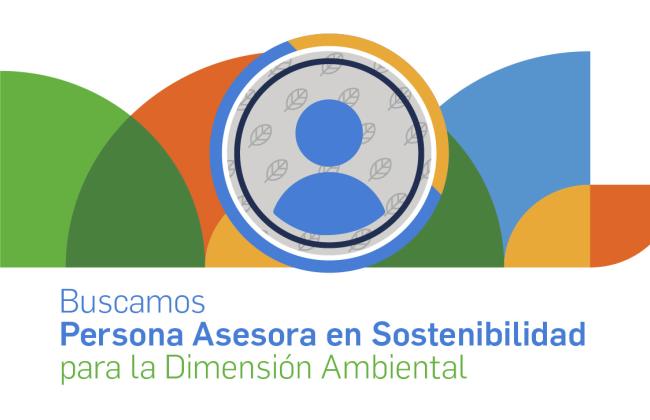 AED busca Persona Asesora en Sostenibilidad para su Dimensión Ambiental