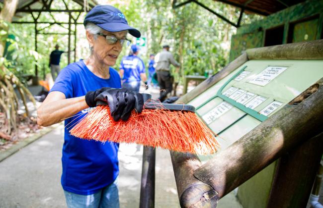 Una mujer delgada, de cabello corto y gris, utiliza un cepillo para limpiar un rótulo con información para visitantes en un parque nacional. Ella viste una camiseta azul, una gorra también azul y guantes de látex.