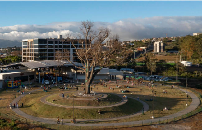 Vista aérea de un parque circular con un gran árbol en el centro, rodeado por un camino pavimentado en forma de anillo. A su alrededor, varias personas disfrutan del espacio al aire libre, descansando sobre el césped y paseando. Al fondo, se observa un edificio moderno y montañas con algunas nubes bajas, que completan el paisaje urbano y natural del área.