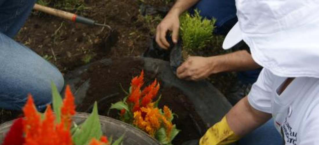 La fuerza voluntaria del siglo XXI