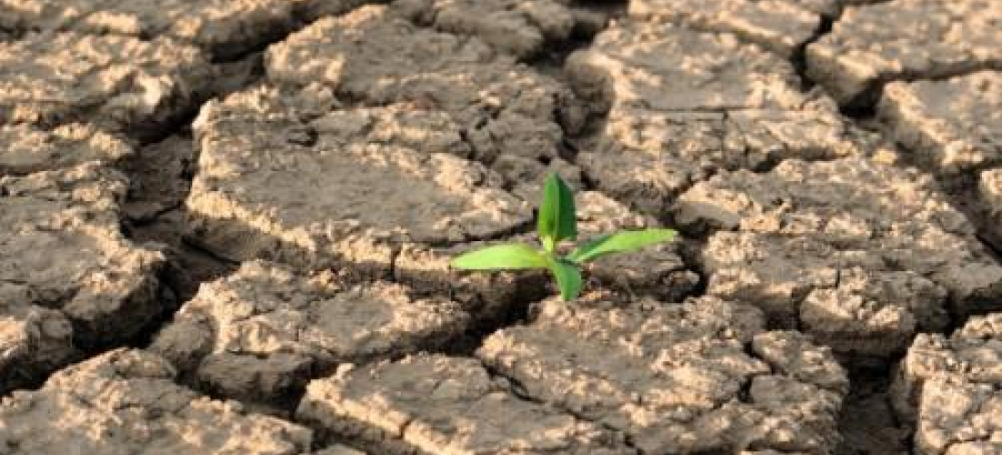 ¿Estamos preparados para los impactos del cambio climático?