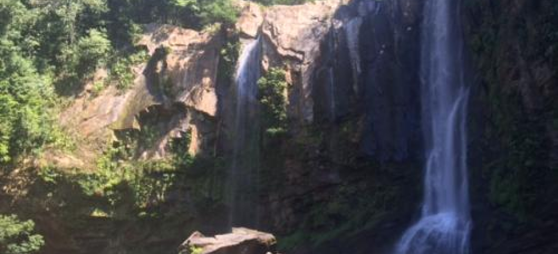 Cuando el negocio es también conservar la biodiversidad