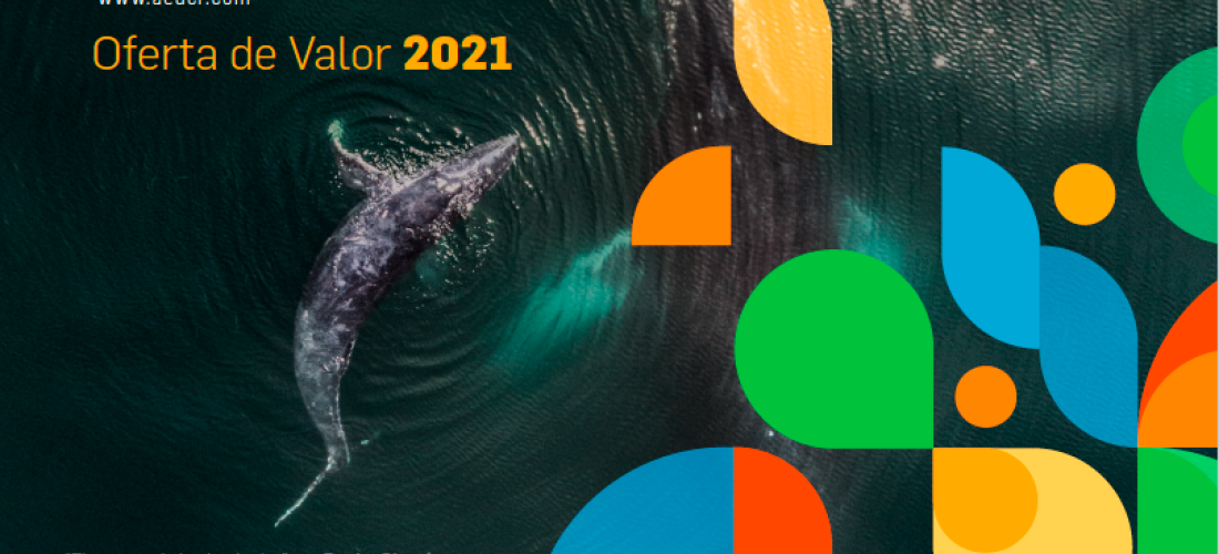 AED presentó su Oferta de Valor 2021 alineada a los principales desafíos globales de sostenibilidad