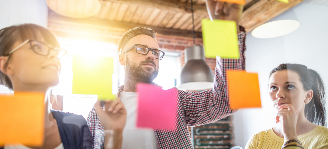 AED busca persona Asesora en Sostenibilidad