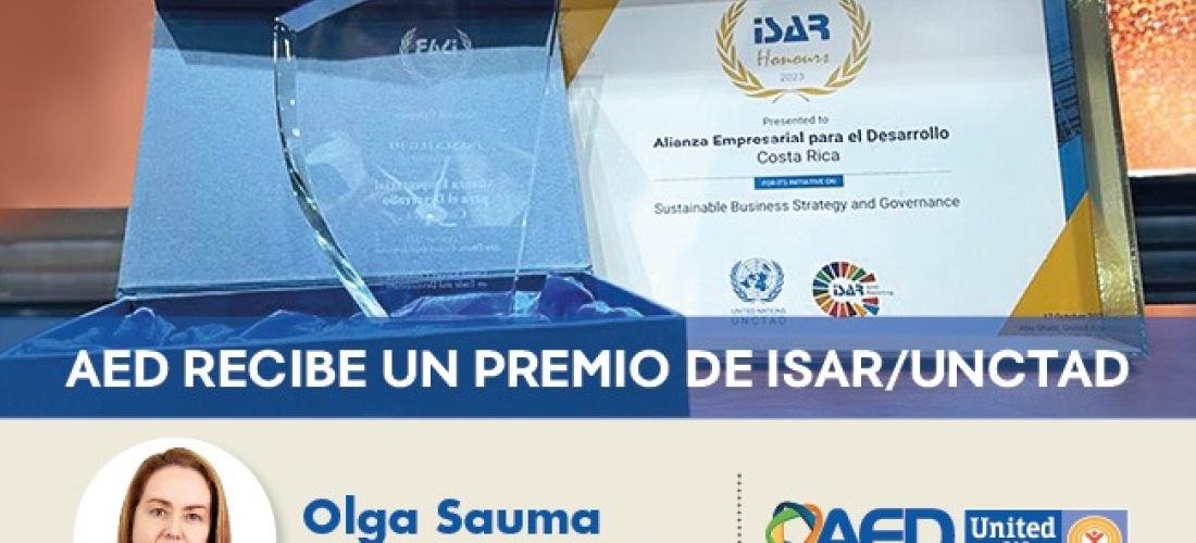 Portada Articulo Reporte