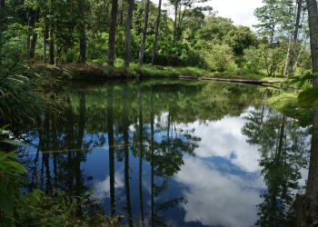 ODS13: Reducir emisiones y adaptarse a un clima que no perdona