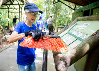 Una mujer delgada, de cabello corto y gris, utiliza un cepillo para limpiar un rótulo con información para visitantes en un parque nacional. Ella viste una camiseta azul, una gorra también azul y guantes de látex.
