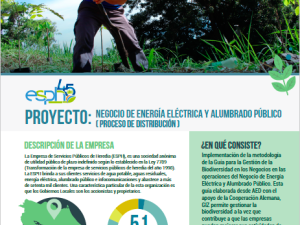 Negocio de Energía Eléctrica y Alumbrado Público ( proceso de distribución )