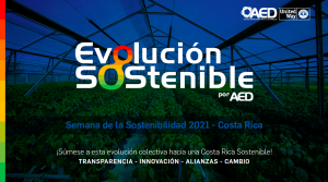 Brief - Evolución Sostenible 2021