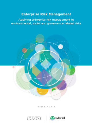  Enterprise Risk Management: Applying enterprise risk management to environmental, social and governance-related risks