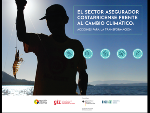 Portada Sector asegurador frente al cambio climático